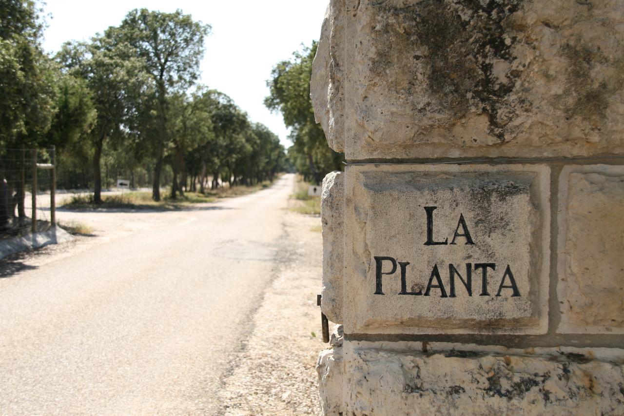 La Casita De La Planta 호텔 킨타니야 데 오네시모 외부 사진